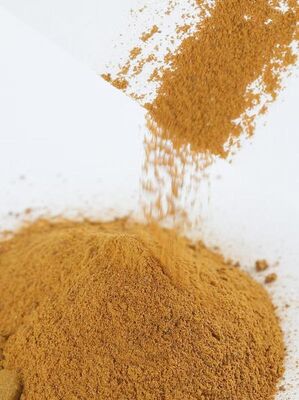 폴리하이드록시인돌 멜라민